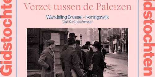 Gidstocht in Brussel - Verzet tussen de Paleizen