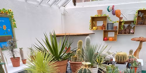 Cactus, Succulent and Orchid Day 