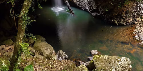 Forest And Falls Landscape Photography Workshop