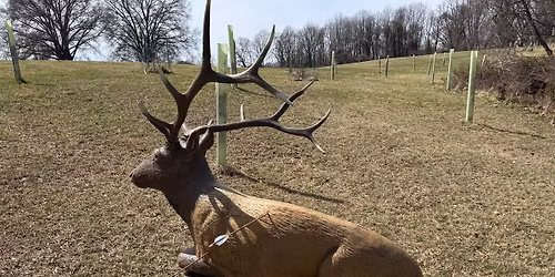 March Winter 3D Fun Shoot