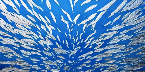 Ji Oh's solo exhibition | Unlimited