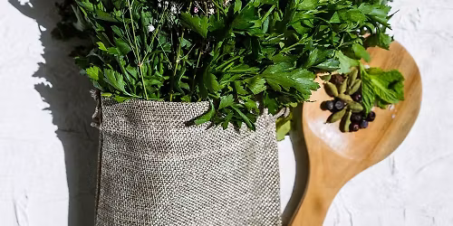 Garden Basics: Herb Gardening