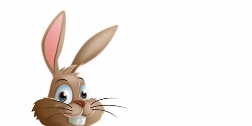 Bunny Hop- Charity fundraiser.