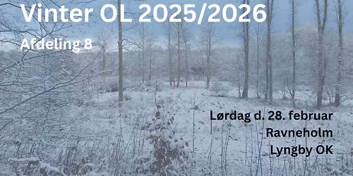 Vinter OL #8 Kongelunden