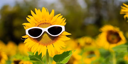 How to Be Happy During Unhappy Times