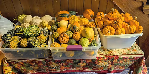 Root Prairie Fall Fest Luncheon 