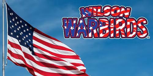 Hill City Howlers at Charleston RiverDogs at Joseph P. Riley Jr. Park