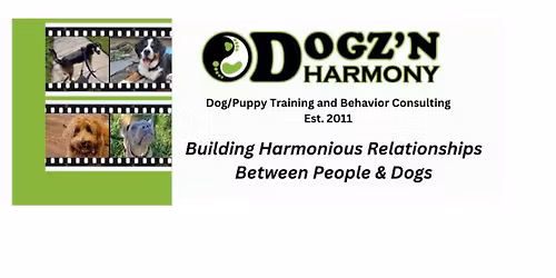 Life Skills\/Teenage Dog Survival Course