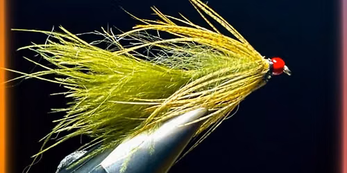 ArkLaTexOma (ALTO) Fly Tyers Monthly Tie