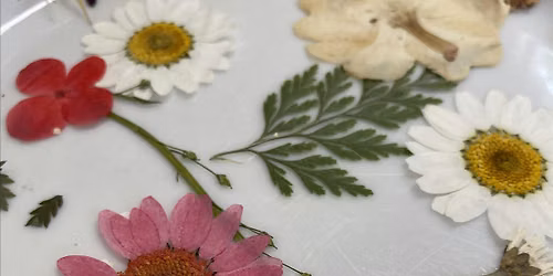 Paper and Plants - Natural Collage (for Juniors!)
