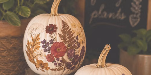 Saturday 9\/26 Petals & Pumpkins Workshop