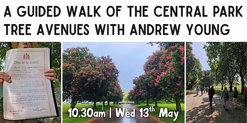 A Guided Walk of the Central Park Tree Avenues with Andrew Young