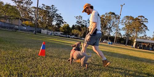 Scurry Dog - Foundations Course