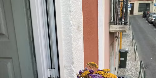 Flowers - Botanical Embroidery Workshop