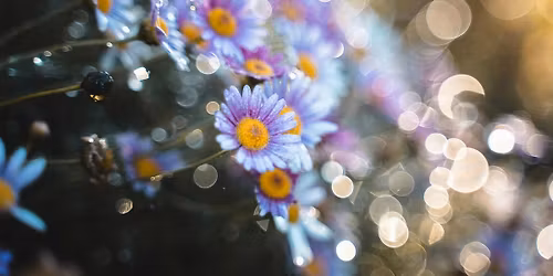 Awaken: A Spring Renewal Retreat with Charlotte Benz