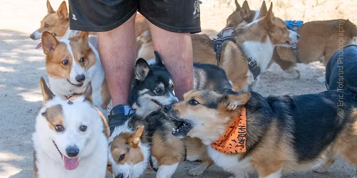 University Dog Park - Big Meet