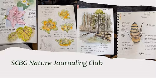 SCBG Nature Journaling Club, Spring 2026