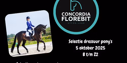 selectie springwedstrijd Paarden