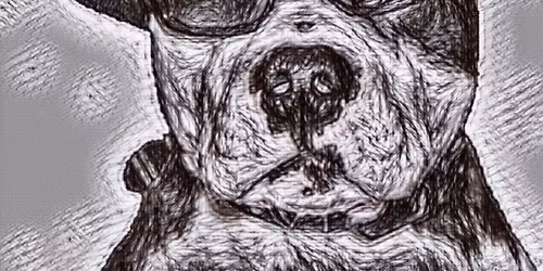 Ask The Dog @ The Ship & Anchor