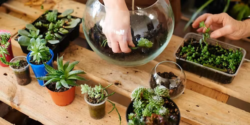 Terrarium Workshop @ Bunk