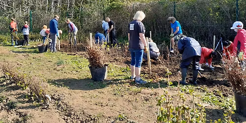 Forest Farm Tree Nursery Volunteering