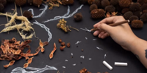 Pods Hold Stories: Seed Drawing Workshop