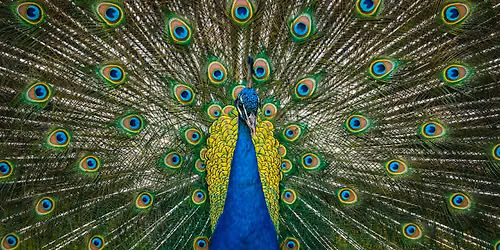 Milford Photo's Day at the Zoo with Tamron Lens Loaners