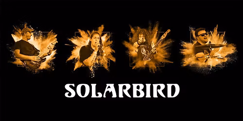 Solarbird at Salisbury Market Square