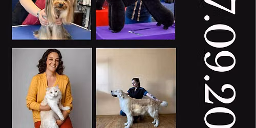Podkarpackie Show Groomingu