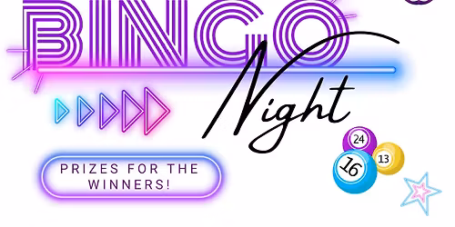 BINGO Night Sober Social _ Owosso