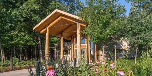 Wildflower Identification Workshop