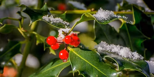 Winter Sale - Local Crafts & Pre Loved Wares