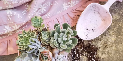 Healthy Body, Healthy Soul Succulent Arrangement Workshop