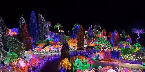 Garden of Morning Calm Light Festival & Petite France Tour