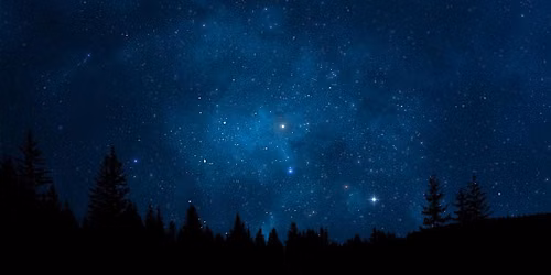 How to Protect the Nocturnal Environment