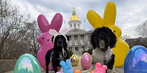 Easter Dog Parade & Egg Hunt | Downtown - Concord, NH | Easter Sunday