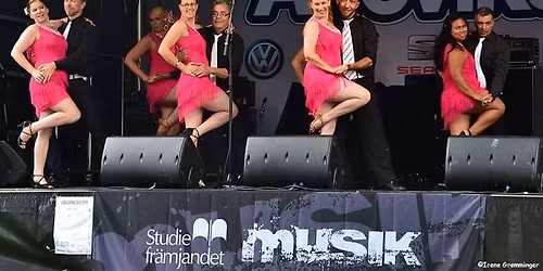 20 \u00e5r Jubileum JSF