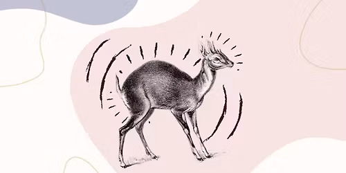 Warsztat TRE\u00ae- samoregulacja poprzez dr\u017cenia