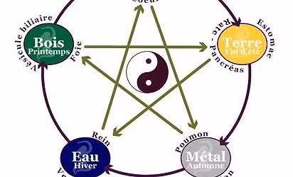 Formation - L'\u00e9nerg\u00e9tique chinoise en r\u00e9flexologie plantaire