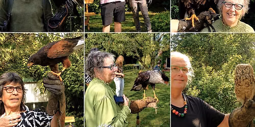 Greifvogeldemonstration im Luitzenpark