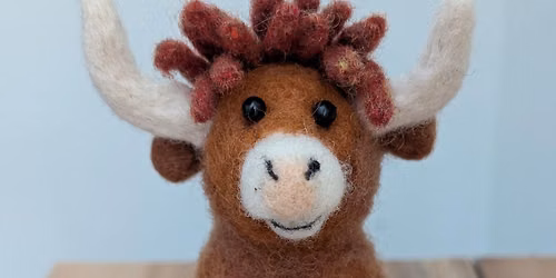 Highlander Cow