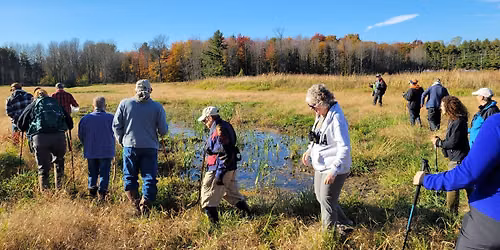 Guided Walk: Forget Me Not Creek Hike 
