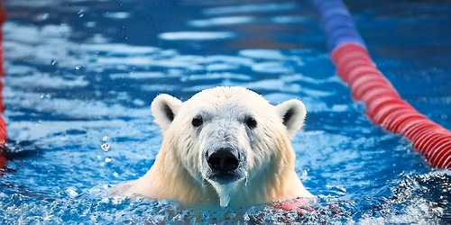 Svalbard Isfjord Sv\u00f8m 2026