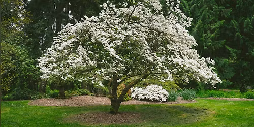 Plant This, Not That