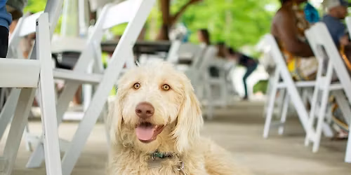 Fall Puppy Palooza + Music with Jim N I Duo + Smash Masters