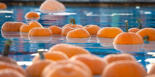 Floating Pumpkin Patch at the Woodland Aquatics Center