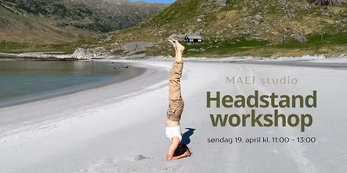 HODEST\u00c5ENDE WORKSHOP