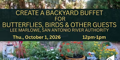 Create a Backyard Buffet for Birds, Butterflies and Other Guests