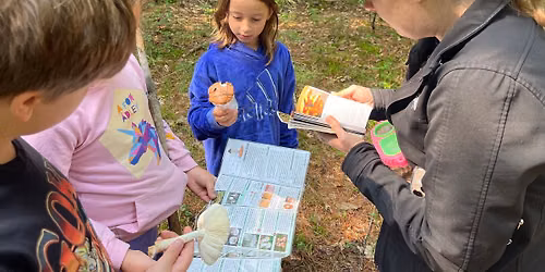 Gahagan Nature Camp - Fantastic Fungi