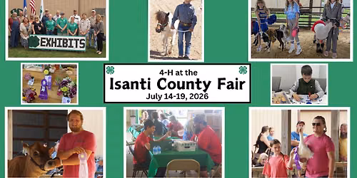 4-H at the Isanti County Fair